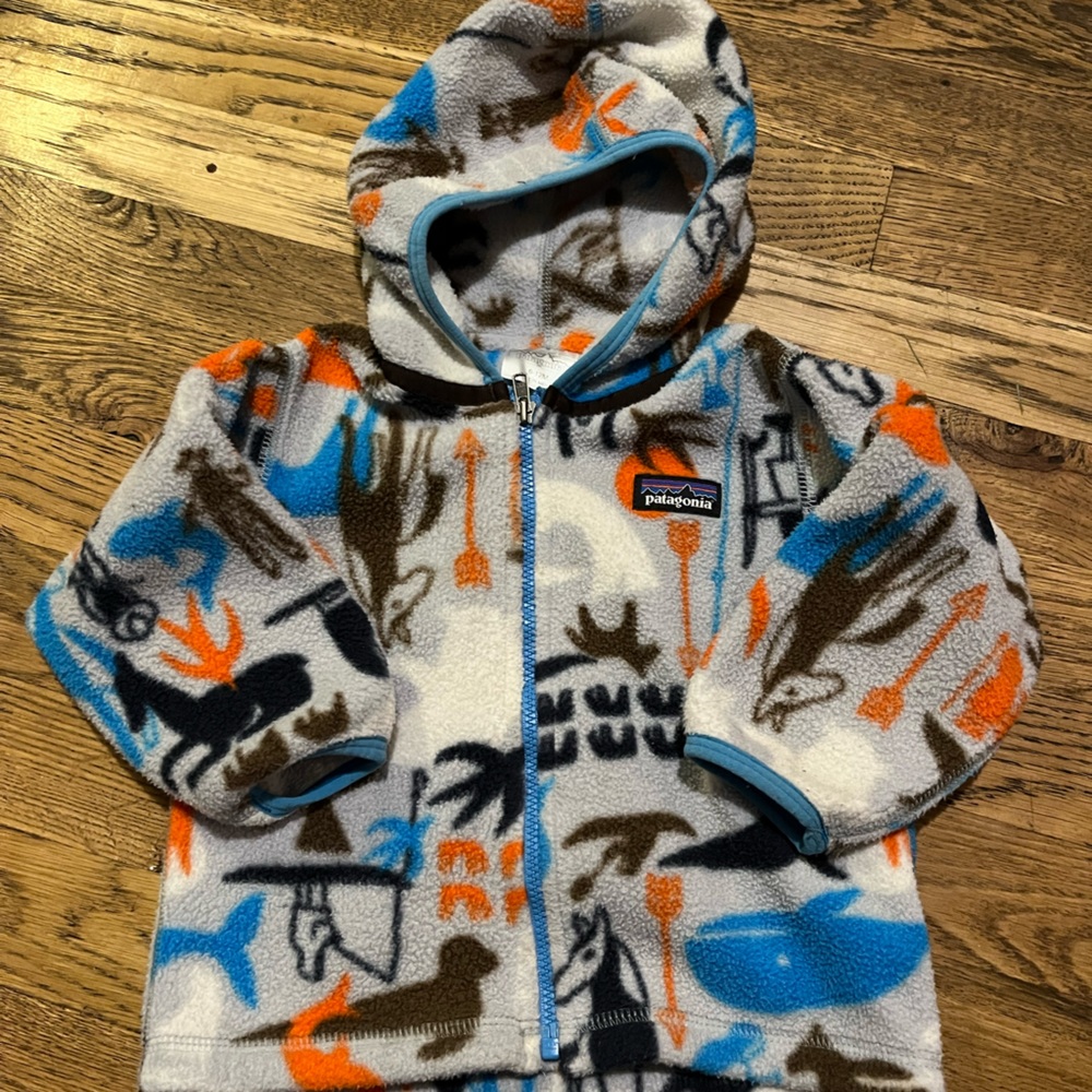 Patagonia Fleece Hoody